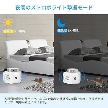 路上のドブネズミ Trivia】地下鉄とドブネズミ - tv asahi america